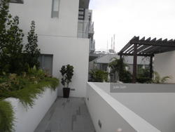 Radiance @ Bukit Timah (D21), Terrace #109919112